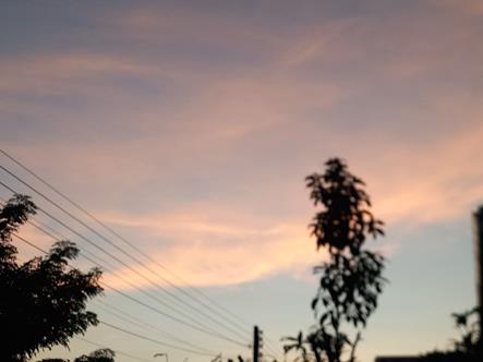 20260601_053741