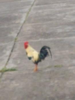 20260621_071523