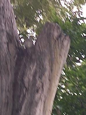 20260630_082105