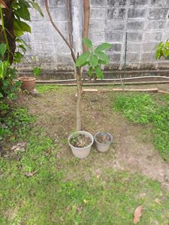 20260720_105510
