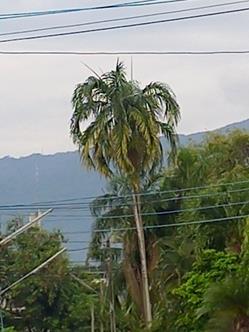 20260724_070831