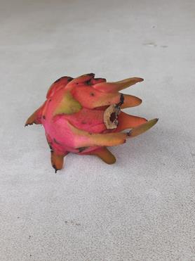 20260727_073603