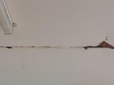20260805_160714