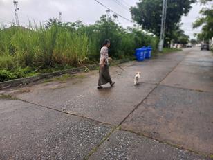 20260809_071752