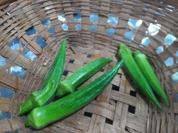 20260916_072629