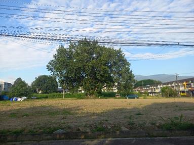 20260925_073032